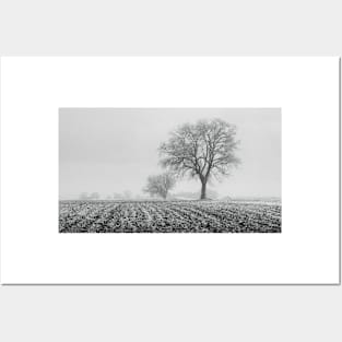 Winter Fields Posters and Art